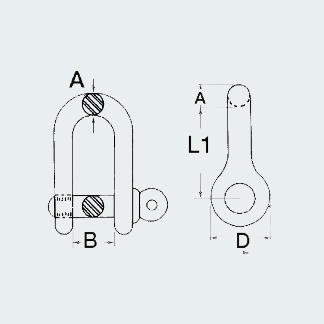 Stainless 'D' Shackles AISI 316