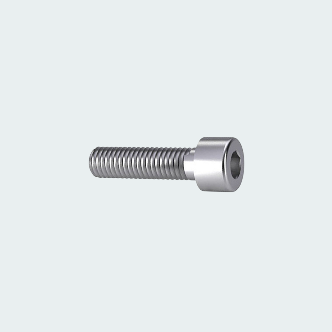 Screws with Cylindrical Head Stainless Steel 316