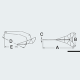 LEWMAR Delta® Zinc-plated Steel Anchor