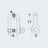 Stainless 'D' Shackles AISI 316