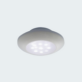 Watertight White Ceiling Light