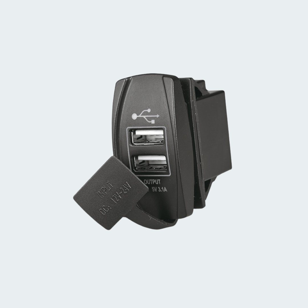 Dual USB Port Current Plug