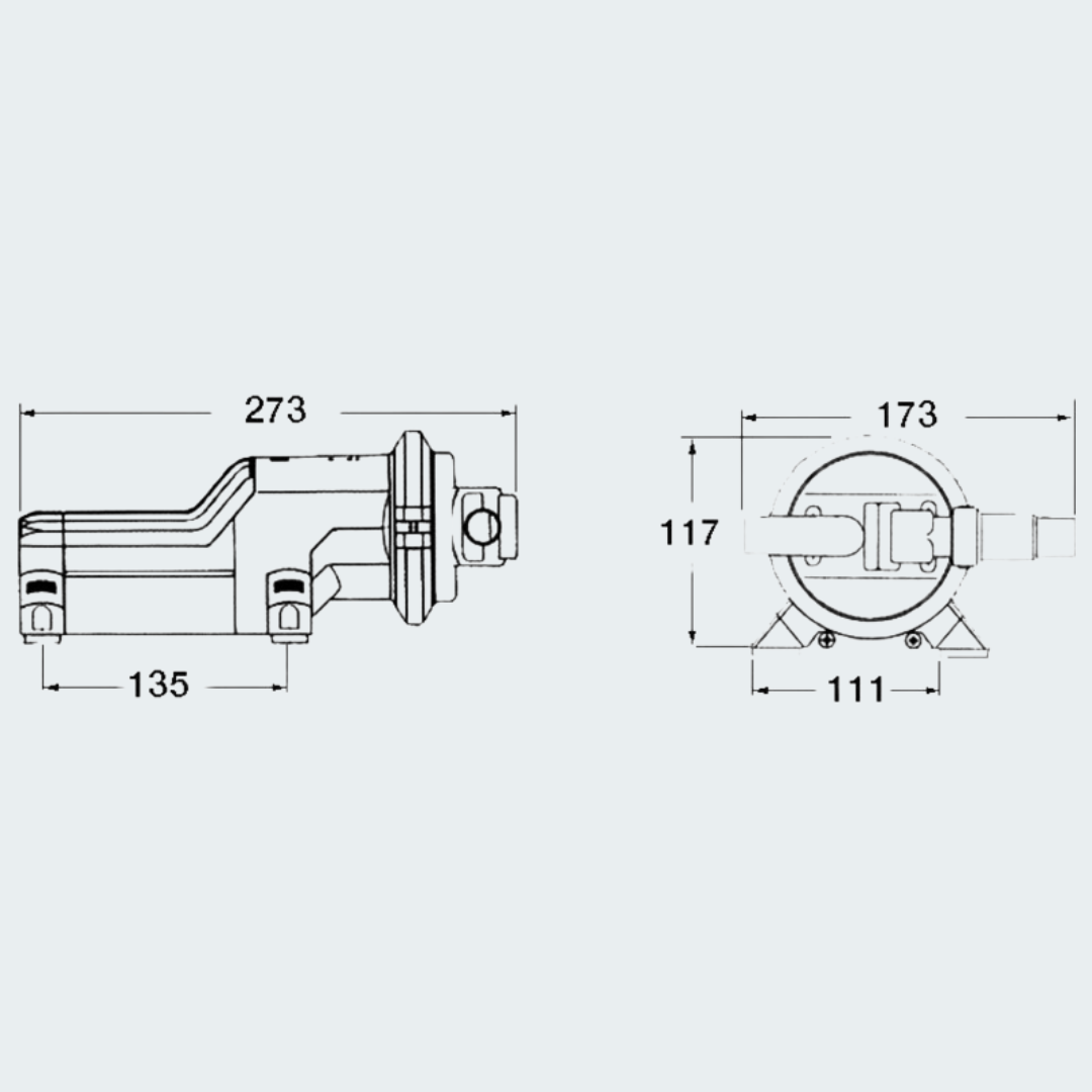 WHALE Gulper Pump 220 24V