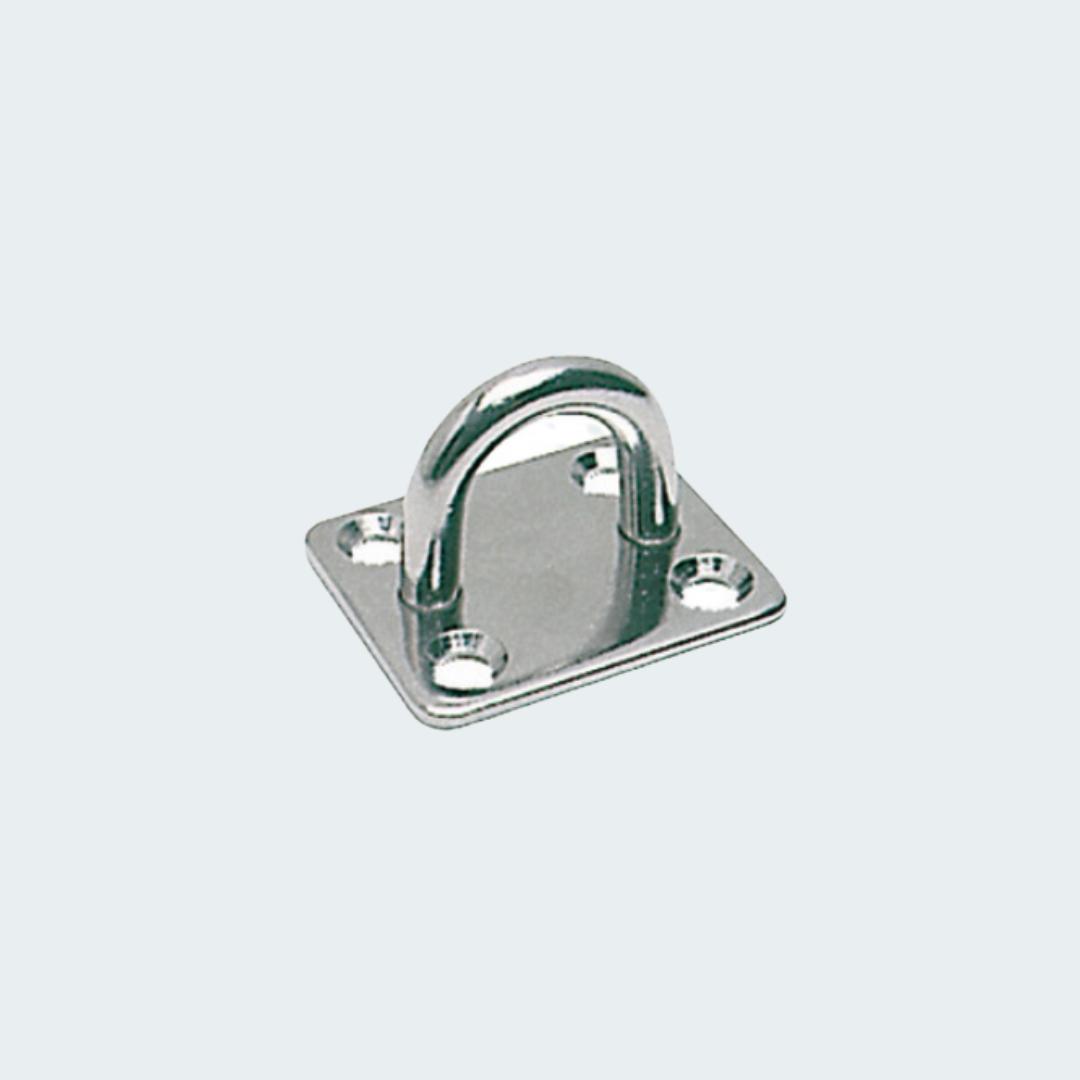 SS Rectangular Plate w/Ring