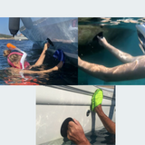 YachtGrabber Suction Cup