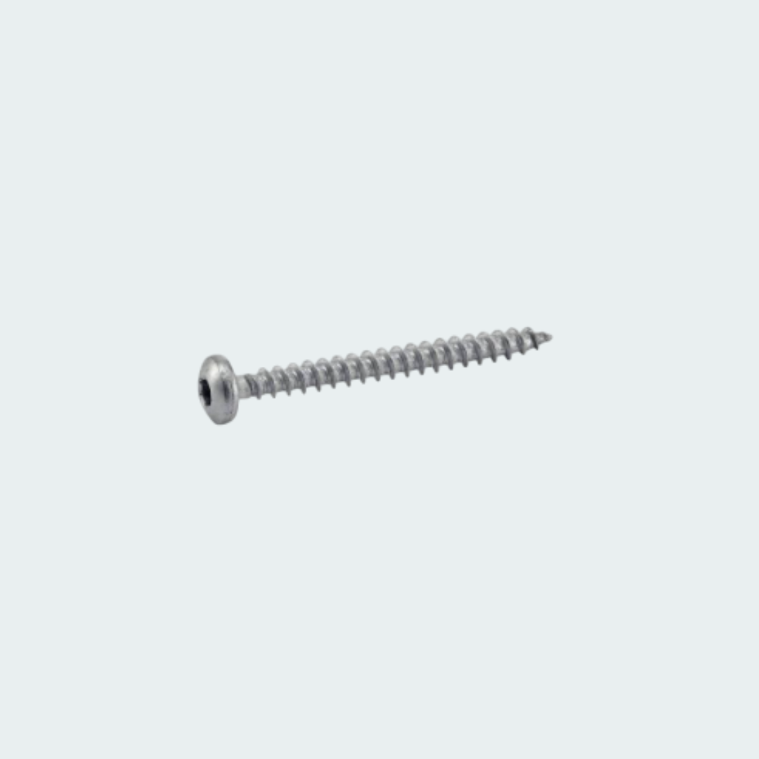 Wood Screw with Cylindrical Head Stainless Steel 316